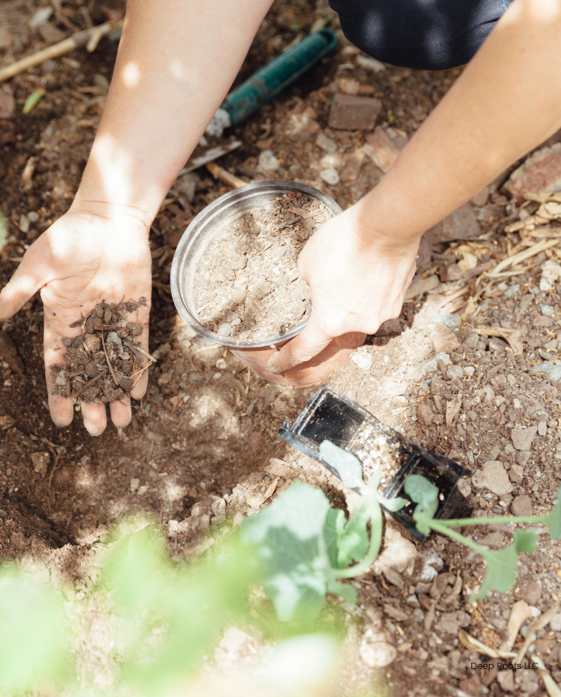 Deep Roots LLC (1)